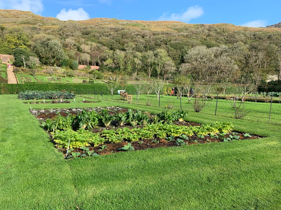 kitchen garden wealth strategy