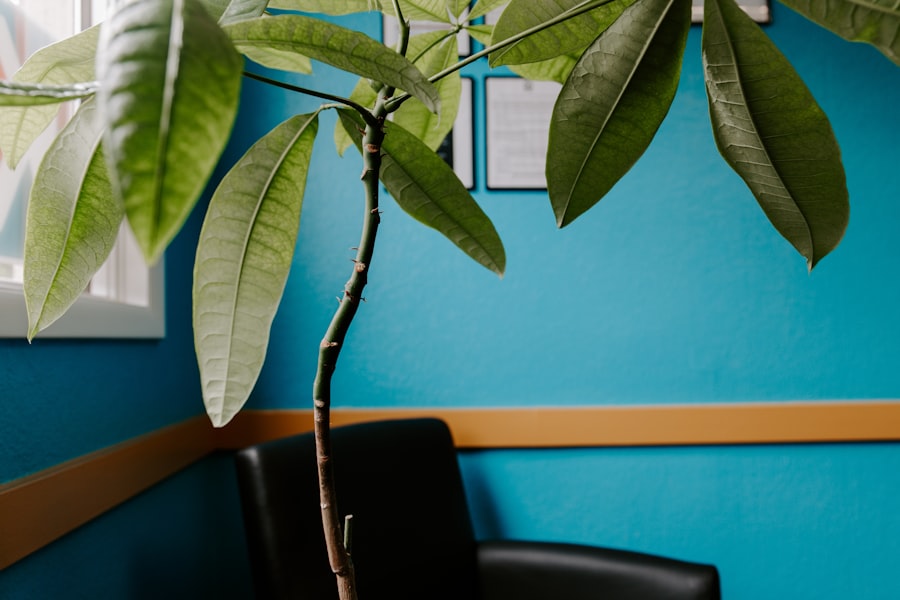 Photo financial breathing room