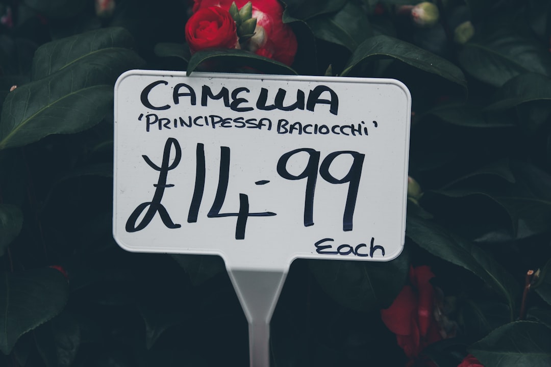 Photo capacity prices