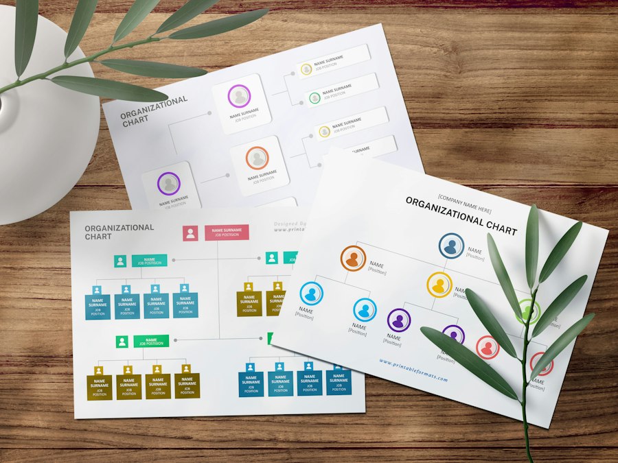 bank account overview infographic