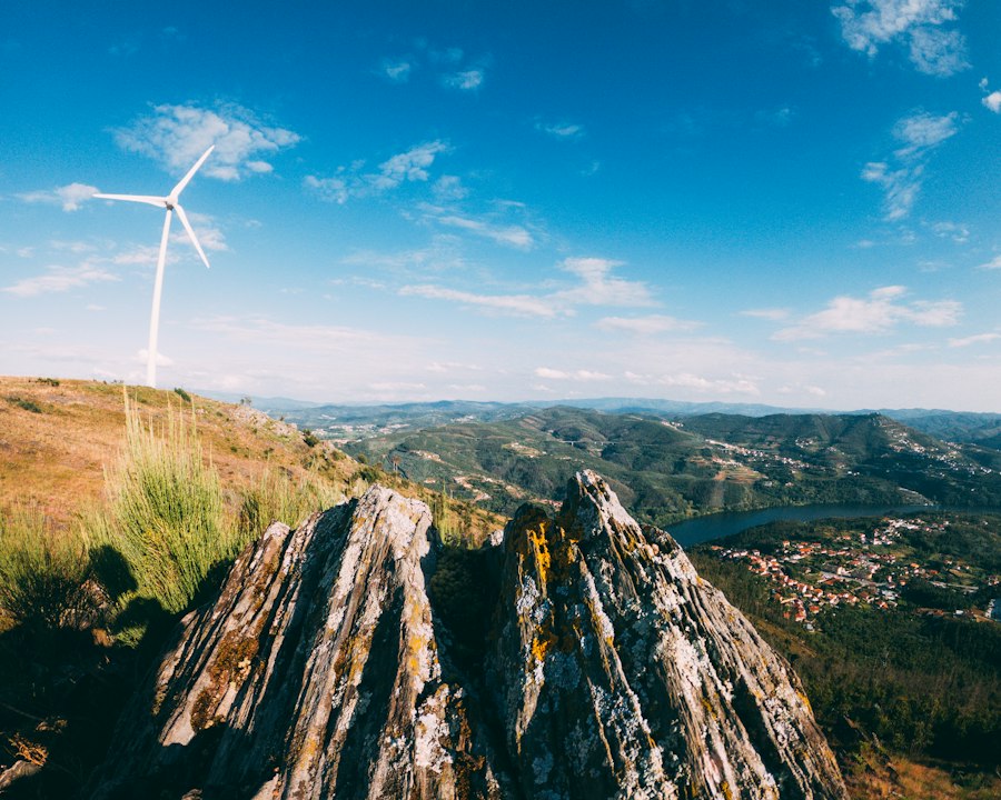 Photo sustainable investment portfolio future planning