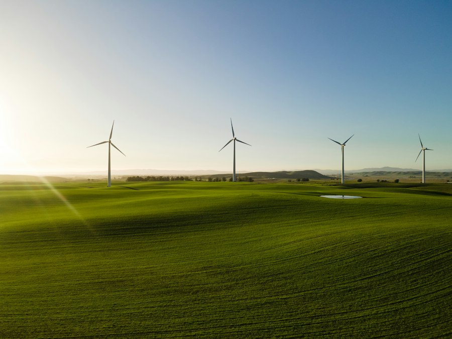 sustainable investment portfolio future planning
