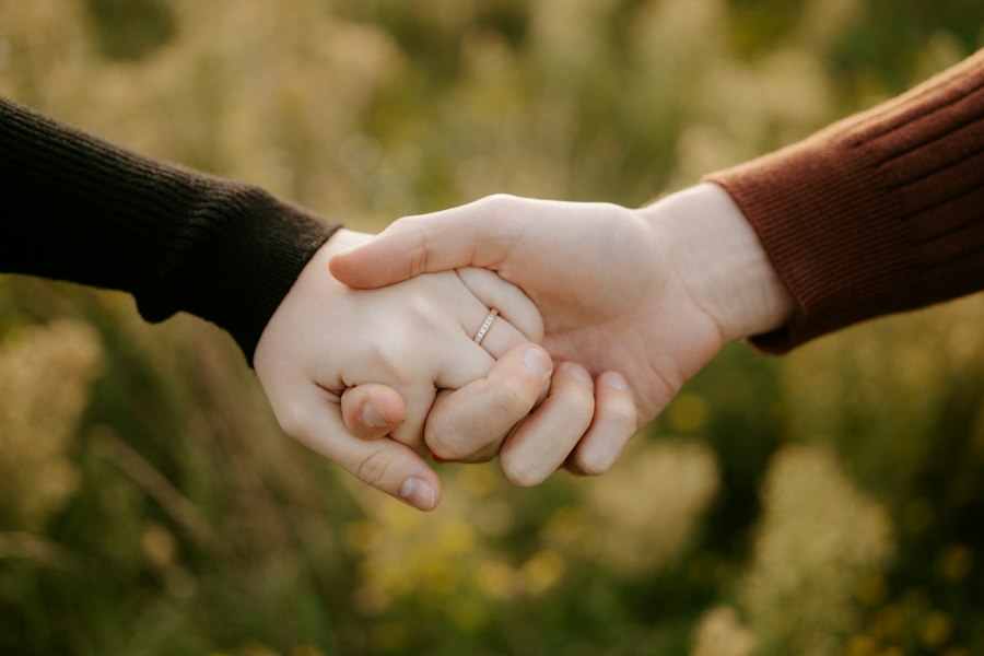Photo sibling caregiving agreement template