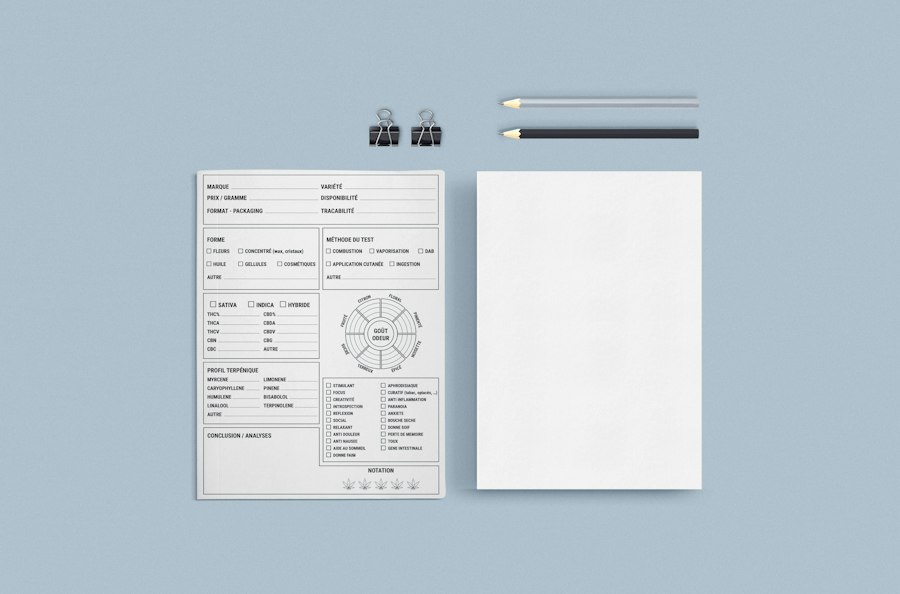 caregiving expenses worksheet template